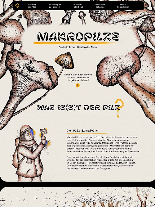 Makrofungi