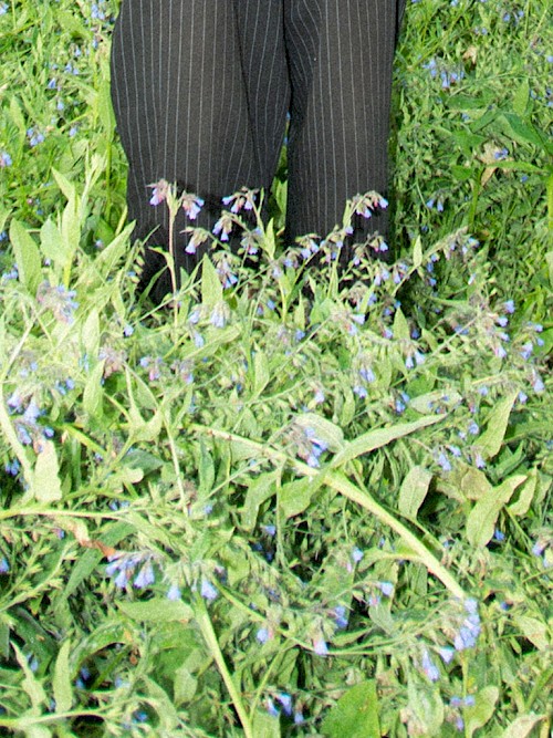 Mika Weber